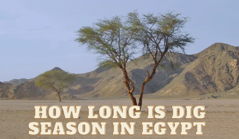 How Long Is Dig Season In Egypt