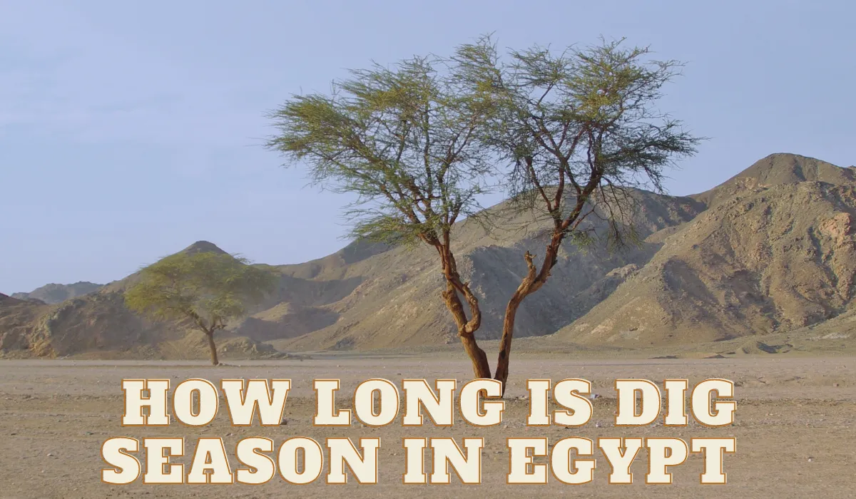 1 Week Or Months How Long Is Dig Season In Egypt Dig Season In Egypt