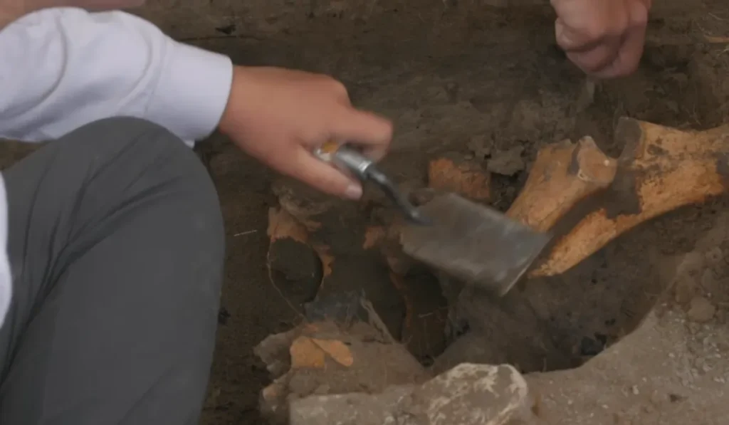 How Do Archaeologists Know Where to Dig